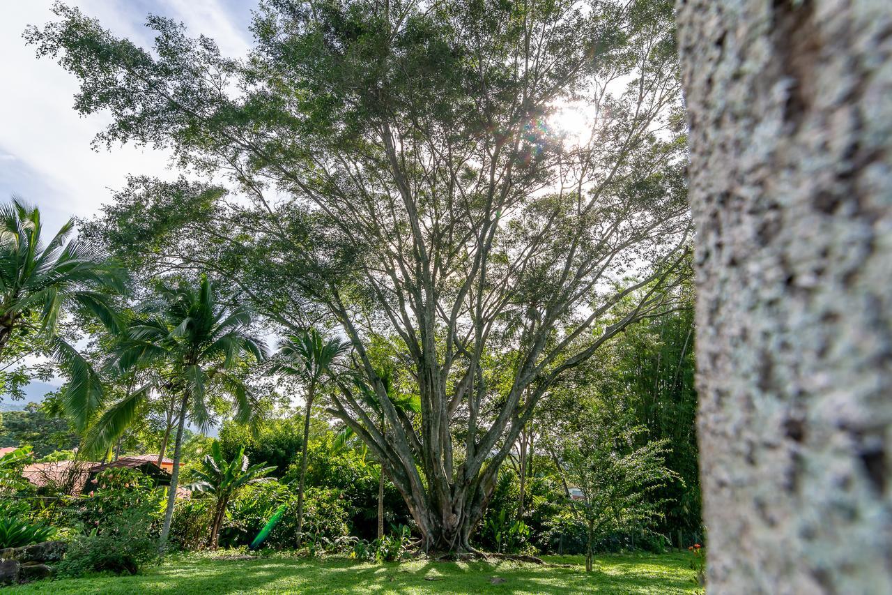 Villa Margarita Animas  Exterior foto